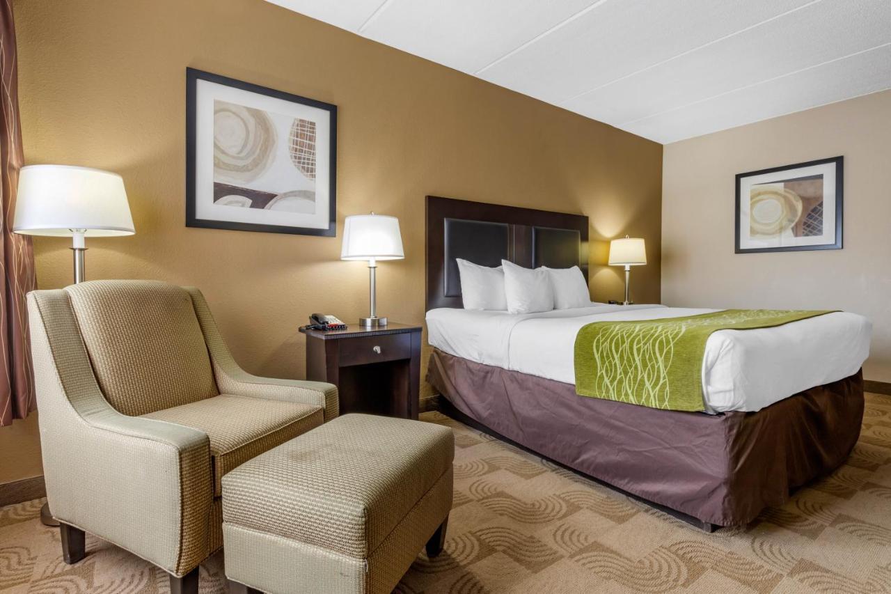 Comfort Inn Warner Robins - Robins Air Force Base Area Ngoại thất bức ảnh